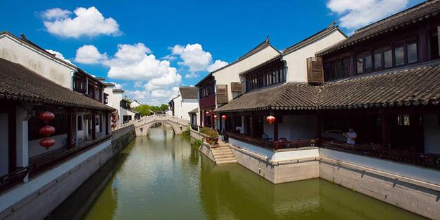 “村企共建”铺就乡村振兴路